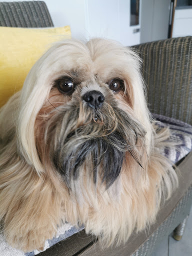 Photo from customer review