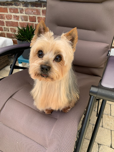 Photo from customer review