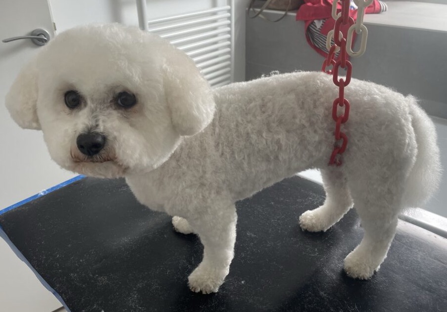 Ça y’est ? C’est fini ?