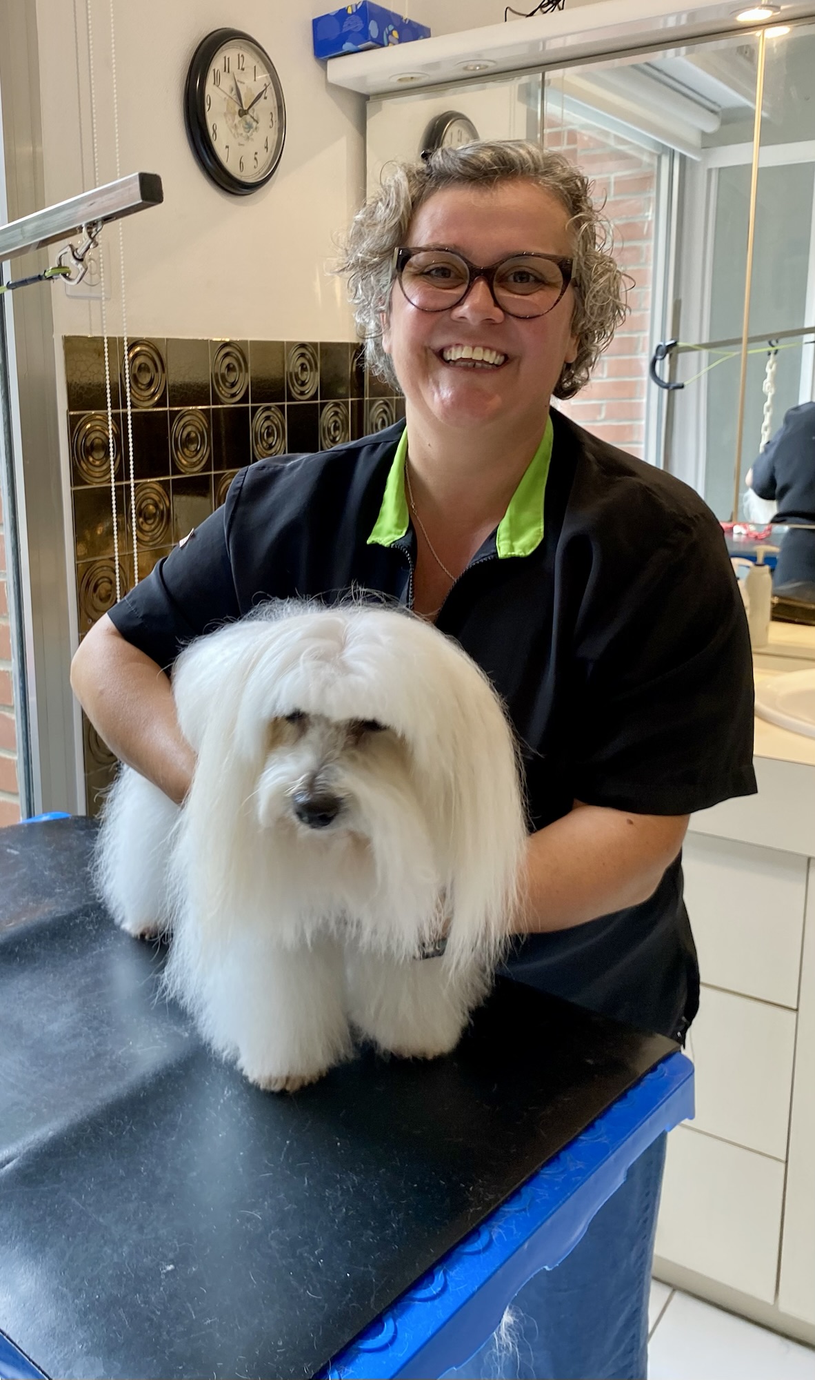 Bain brushing pour Gipsy! Toujours aussi gentille et patiente depuis toutes ces années…