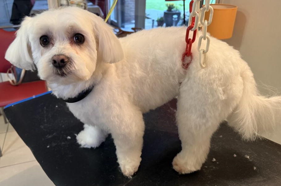 Bienvenue à Youki !