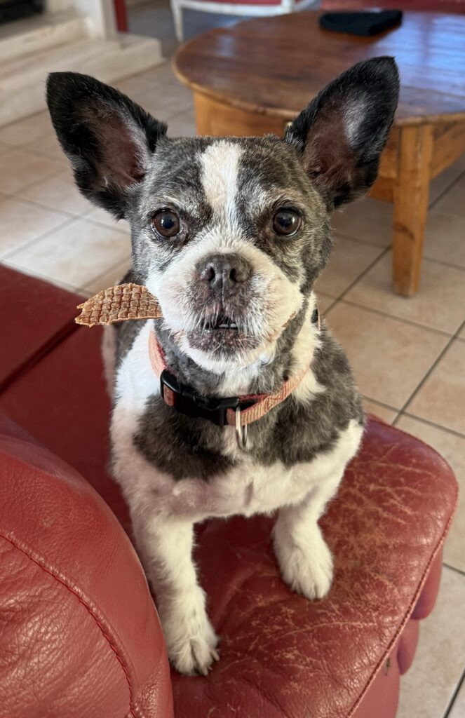 Iris fière de sa récompense !